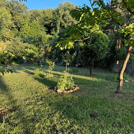 Tiny House Gaia - Eco Retreat In The Mountains * Fundo da Vila