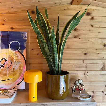 Hébergement de vacances Tiny House Gaia - Eco Retreat In The Mountains Fundo da Vila