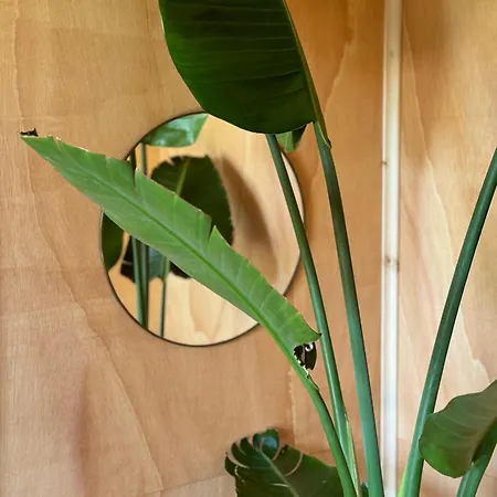 Tiny House Gaia - Eco Retreat In The Mountains بيت للعطل Fundo da Vila