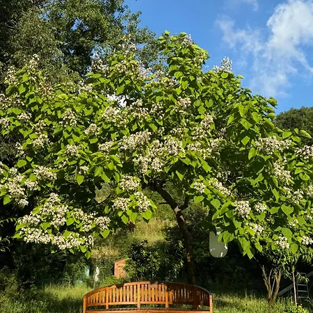 Tiny House Gaia - Eco Retreat In The Mountains Fundo da Vila