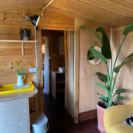 Tiny House Gaia - Eco Retreat In The Mountains *