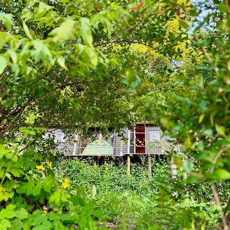 Tiny House Gaia - Eco Retreat In The Mountains Fundo da Vila